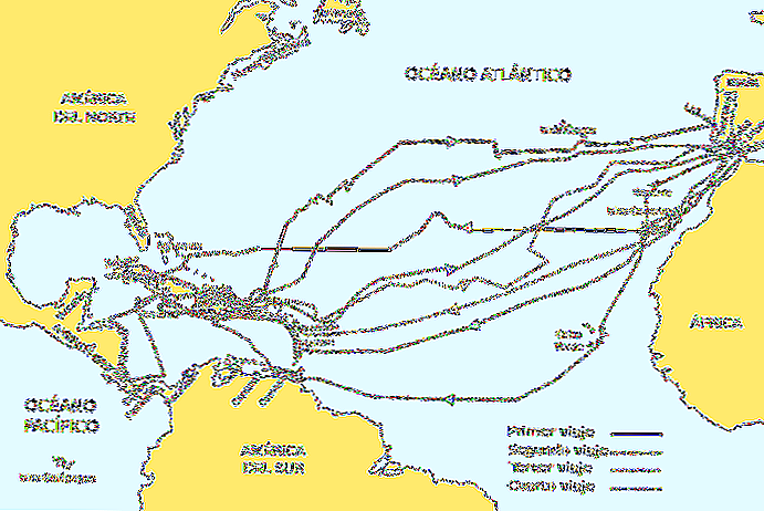 Reisen von Christopher Columbus Hintergrund und Ursachen