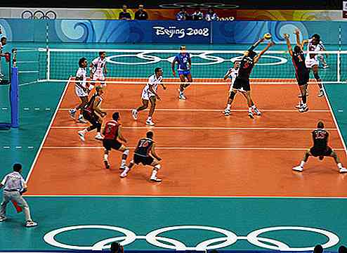 Volleyball Grundlegende und technische Grundlagen