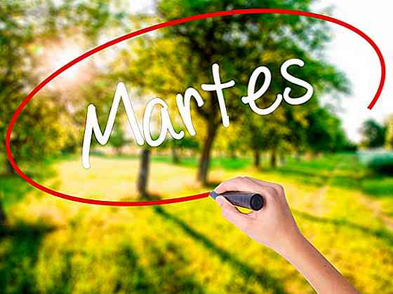 55 jolies phrases du mardi