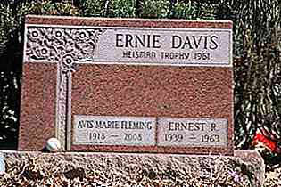 Biografia de Ernie Davis