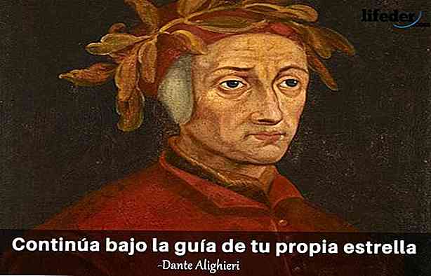 dantealighieri #filosofia #frases #fy #fyp #foryou #laviniaweb