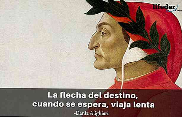 dantealighieri #filosofia #frases #fy #fyp #foryou #laviniaweb