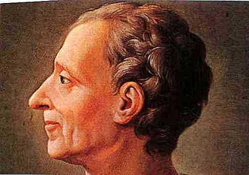 Biografia de Montesquieu, Contribuições e Obras | Thpanorama ...