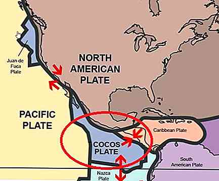 Posizione delle placche Cocos e caratteristiche generali