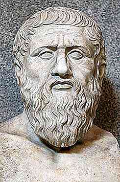Biografia de Platão, Filosofia e Contribuições