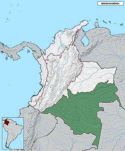 Caractéristiques de la région amazonienne, situation géographique, climat, hydrographie