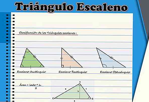 Recursos do triângulo de escala, fórmula e áreas, cálculo