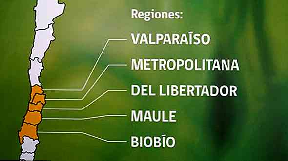 Central Zone von Chile Klima, Flora, Fauna, Ressourcen und Wirtschaft
