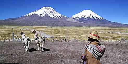 Zona de nord a Chile climă, floră, faună și resurse